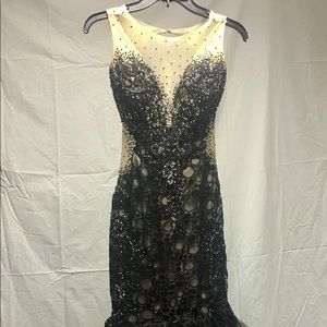 Evening gown (prom/pageant)
